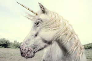 unicorn-620x414